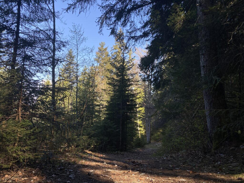 Parcours de la randonnée